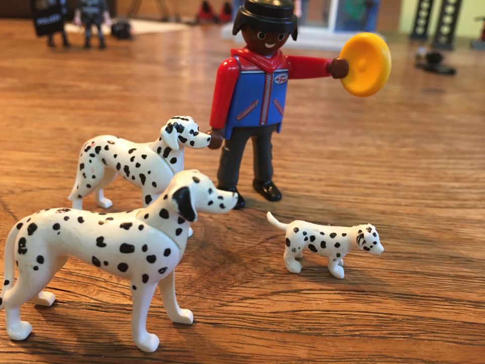 Playmobil 5212 Dalmatiner Familie, Mann mit Frisbeescheibe in  Baden-Württemberg - Ellwangen (Jagst) | Playmobil günstig kaufen, gebraucht  oder neu | eBay Kleinanzeigen ist jetzt Kleinanzeigen