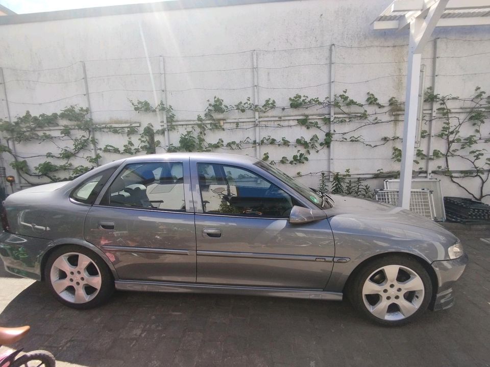 Opel Vectra B in Schönebeck (Elbe)