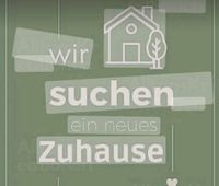 Wohnung/Haus zur Miete gesucht Hessen - Raunheim Vorschau