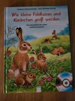 Wie kleine Hasen und  Kaninchen groß werden Hessen - Hochheim am Main Vorschau