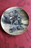 Sammelteller Labrador Franklin Mint Nordrhein-Westfalen - Hamm Vorschau