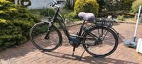 Damen E-Bike Rose Xtra Watt 3 Komfort Nordrhein-Westfalen - Bocholt Vorschau