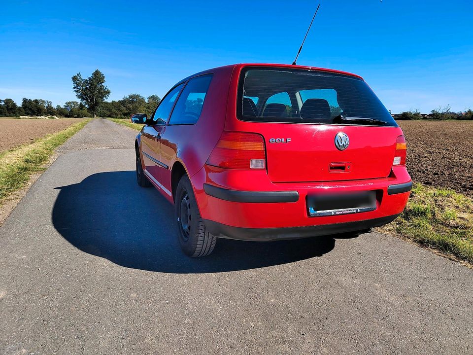 Golf 4 1,4, TÜV neu, 8 fach bereift in Katlenburg-Lindau