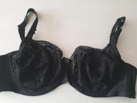 BH 75F Hunkemöller Sachsen - Diera-Zehren Vorschau