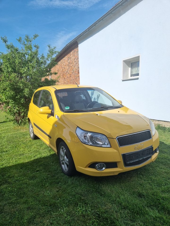 Chevrolet Aveo - Nicht Fahrtauglich in Merseburg