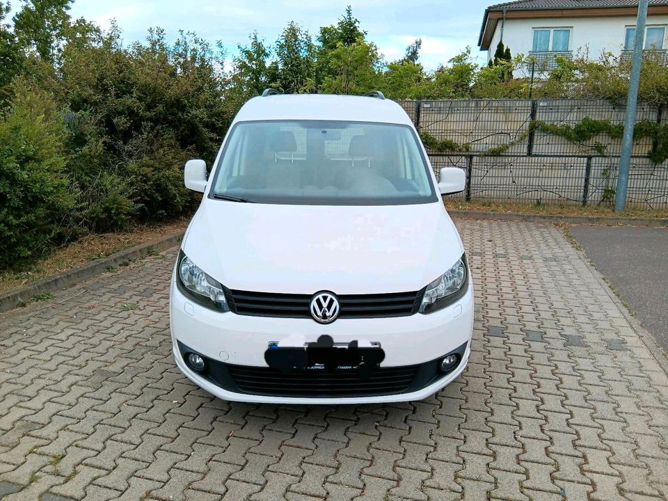 VW Caddy 1.6TDI in Halle