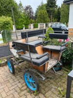 Reparaturbedürftige Kutsche Hessen - Büdingen Vorschau
