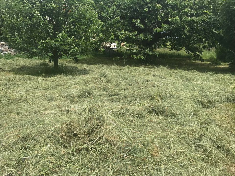 Heu von der Streuobstwiese in Nattheim