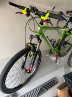 Spezialized Mountainbike Stumpjumper M2 Pro 1997 Baden-Württemberg - Sachsenheim Vorschau