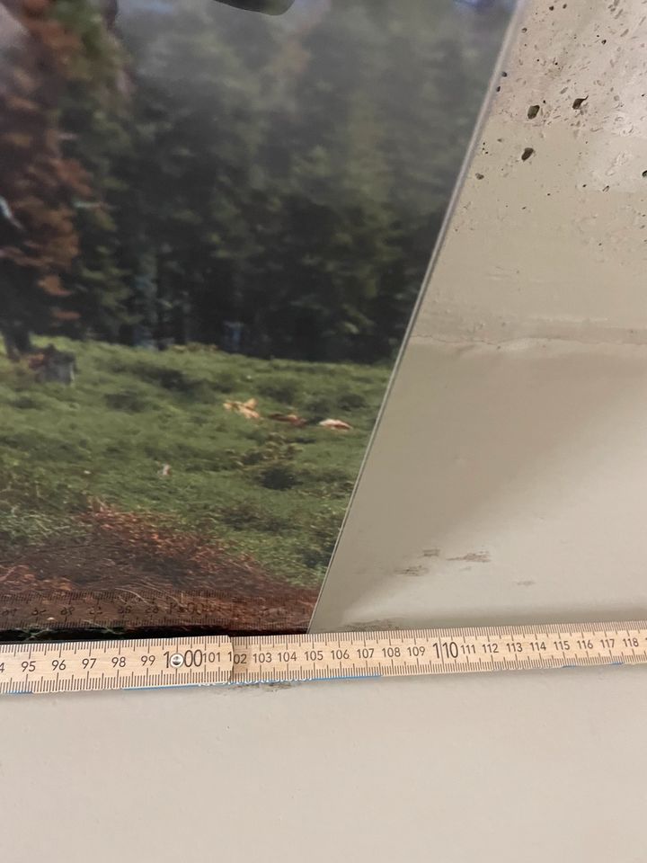 Glasbild zum Aufhängen, Yosemite Park, 105x70cm in München