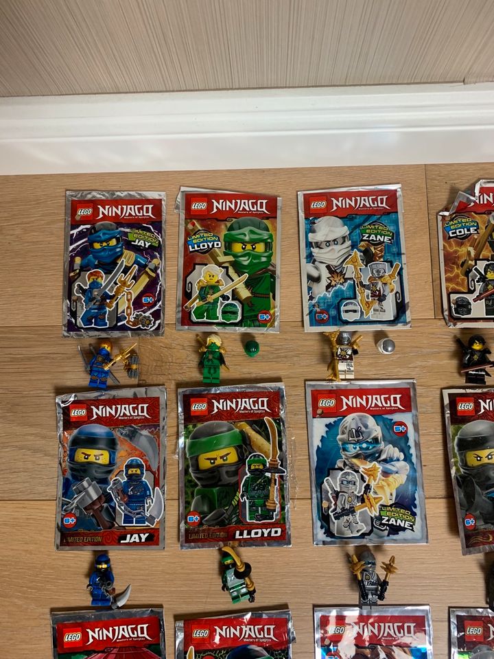 21 Figuren LEGO Ninjago- Limited Edition in Südlohn