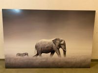 Bild Elefant und Zebra - 116X78 cm Bayern - Obernburg Vorschau