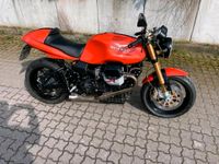 Suche ABE-Kopie Quad D Endtopf Nordrhein-Westfalen - Gladbeck Vorschau