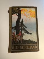 KARL MAY - Old Surehand Band 2 1920er ? antiquarisch Hessen - Langgöns Vorschau