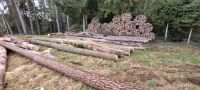 Brennholz bis zu 11 Ster 4m Kiefer Fichte Bayern - Reichertshofen Vorschau