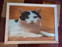 Diamant Painting Bild Katze Borsdorf - Borsdorf Vorschau