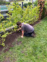 Edi Gartenservice Hecken und Gartenarbeiten Hessen - Gründau Vorschau