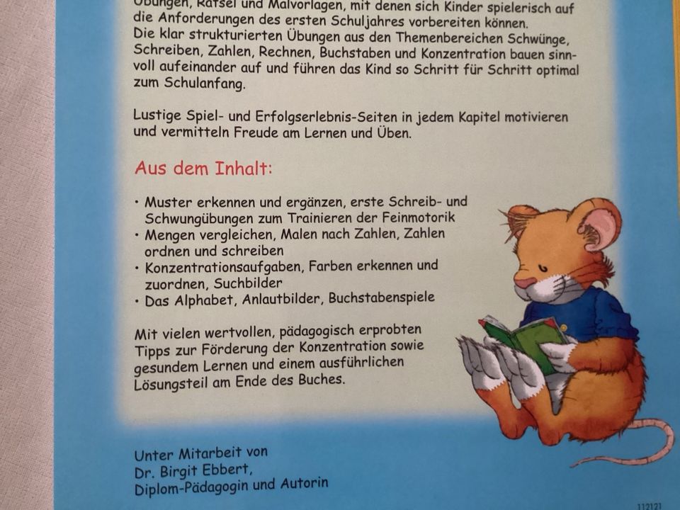 Leo Lausemaus Lernspass in der Vorschule ABC Zahlen Neu in Müllheim