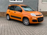 Fiat Panda 1.2 Easy **PDC**KLIMA**DAB+** Nordrhein-Westfalen - Hagen Vorschau