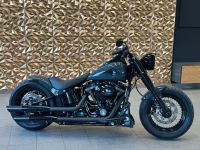 Harley-Davidson FLSS/Softai/Slim S/110Cui/CVO/Fat Boy/Custom Niedersachsen - Wedemark Vorschau