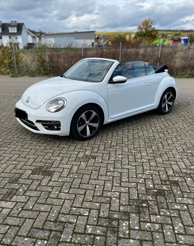 VW Beetle Cabriolet 1.2 TSI Exc in Klettgau