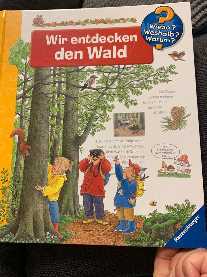 Wieso? Weshalb? Warum? - Wir entdecken den Wald in Marl