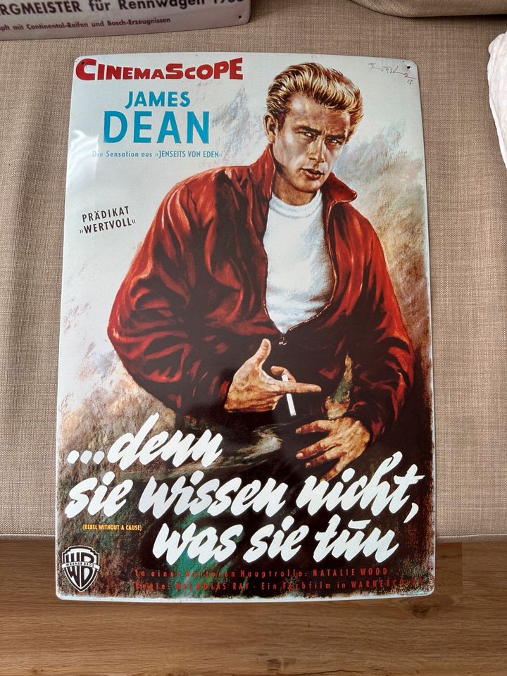 Blechbild, James Dean Filmposter, Retro in Bad Rappenau