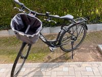 Fahrrad Damen Schleswig-Holstein - Hohenwestedt Vorschau