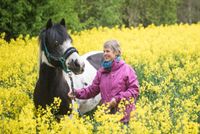 Pflegebeteiligung für 2 Therapiepferde und 2 Therapieponys Schleswig-Holstein - Bargteheide Vorschau