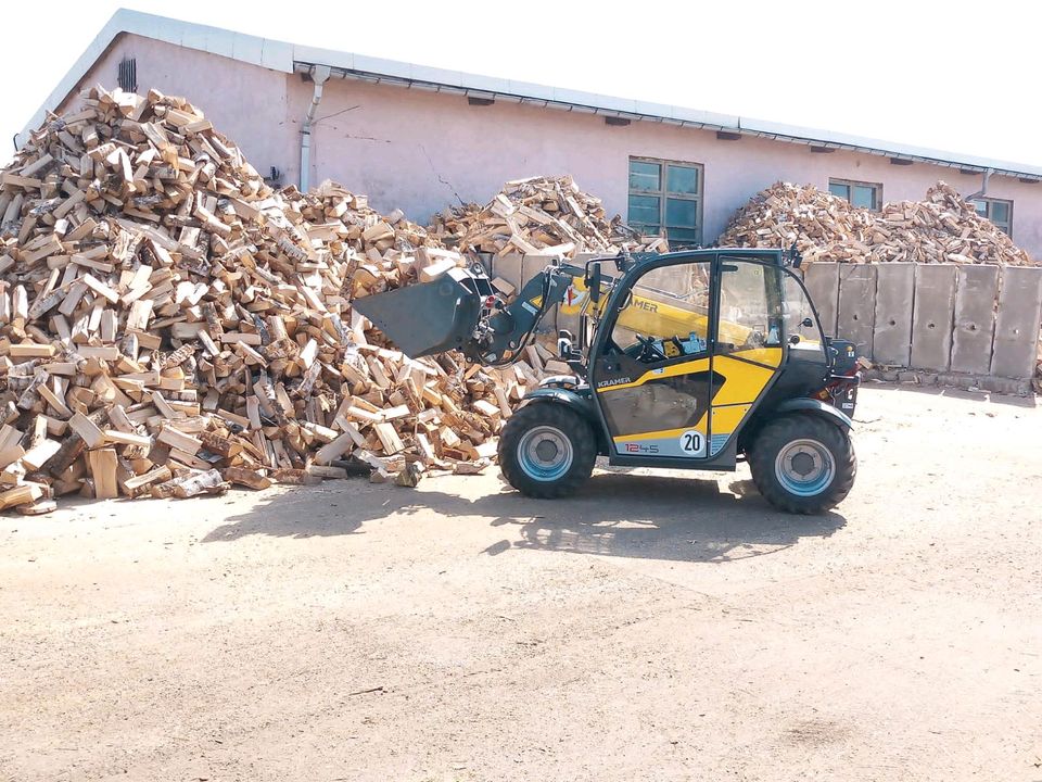 Kaminholz Brennholz Birke Eiche Kiefer in Belgern