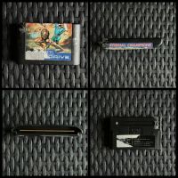 ETERNAL CHAMPIONS Sega Mega Drive nur Modul Dresden - Blasewitz Vorschau