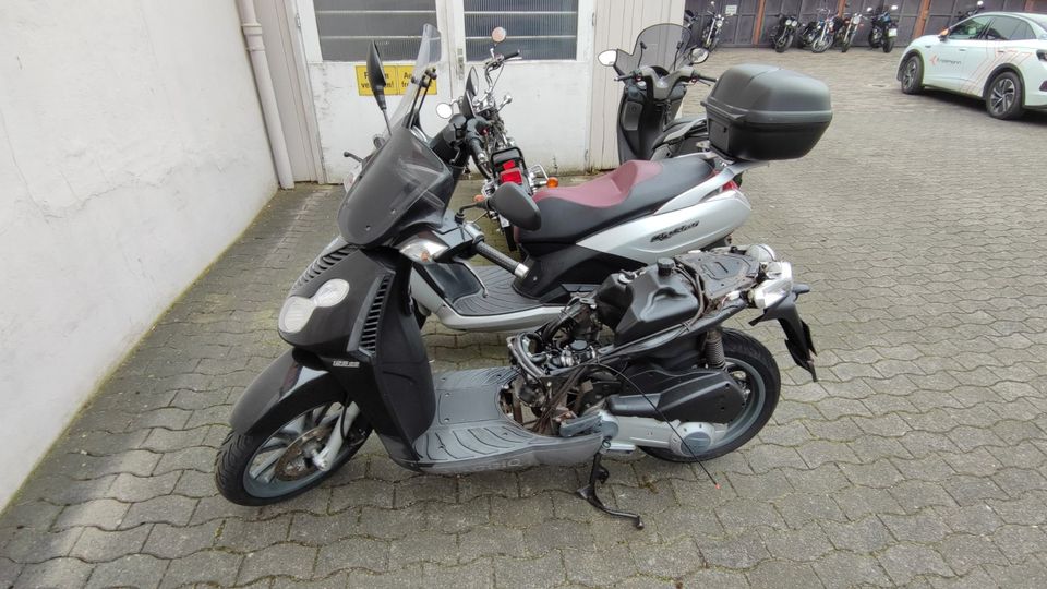 Piaggio Carnaby Peugeot Elystar Aprilia Mojito Kymco Grand Dink 5 in Werther (Westfalen)