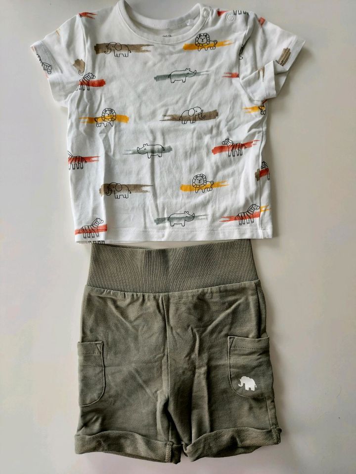 Sommer Set "Safari" Shirt und kurze Hose Gr. 68 in Altenburg