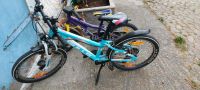 Bulls Kinderfahrrad Mountainbike 20 Zoll Bayern - Grünenbach Allgäu Vorschau