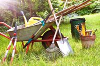 Haus und Gartenservice Brandenburg - Rathenow Vorschau