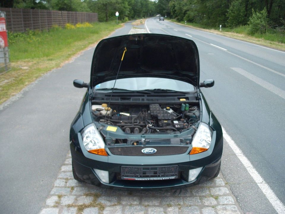 Ford Streetka 1.6 in Loxstedt