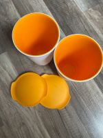 Becher mit Deckel Tupperware Allegra Kreis Pinneberg - Pinneberg Vorschau