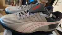 Fussballschuhe Puma Attacante tt Noppen 40 1/2 neu OVP Neustadt - Hohentor Vorschau