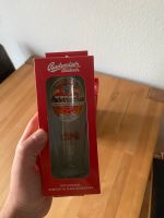 Budweiser Gläser 0,3l Baden-Württemberg - Ochsenhausen Vorschau