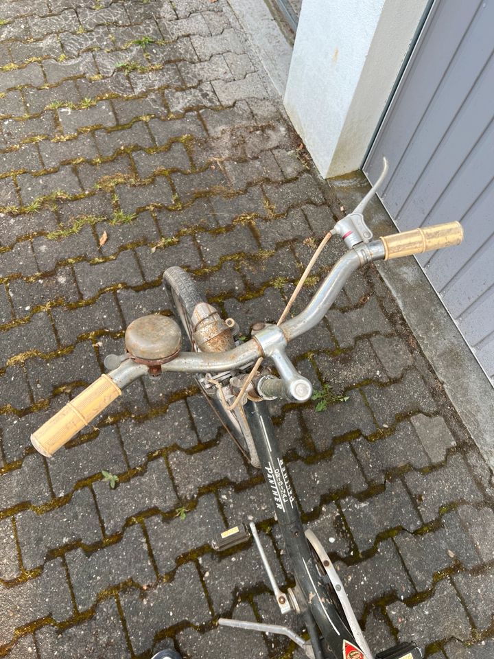 Panther Fahrrad in Kelkheim