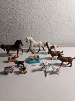 Schleich Tiere Set, 10 Stück Horse Club Farm World Bad Godesberg - Friesdorf Vorschau