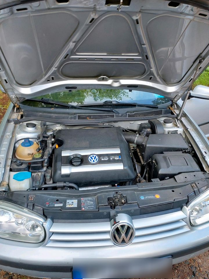 VW Golf 4 1.6 fsi 16v in Groß-Zimmern