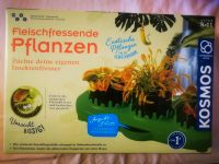 Kosmos Fleischfressende Pflanzen Wandsbek - Hamburg Farmsen-Berne Vorschau