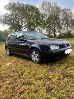 Golf IV 4 1,9TDI 96KW Pacific 131PS 6 Gang 2003 Volkswagen VW Niedersachsen - Vrees Vorschau