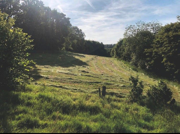 Verkaufe 2,60 ha Grünland in Laubach Stadt Hann. Münden (GÖ) in Hann. Münden