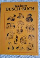 Das dicke BUSCH-BUCH v. 1983, DDR Sachsen - Dommitzsch Vorschau