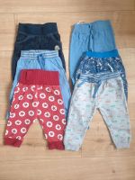 Sechs Pumphosen, Hosen, Babykleidung Jungen, Gr. ,74 Nordrhein-Westfalen - Brakel Vorschau