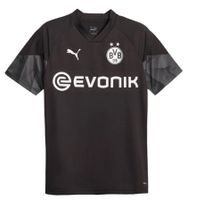 Suche bvb Trainingsshirt Essen - Essen-Borbeck Vorschau