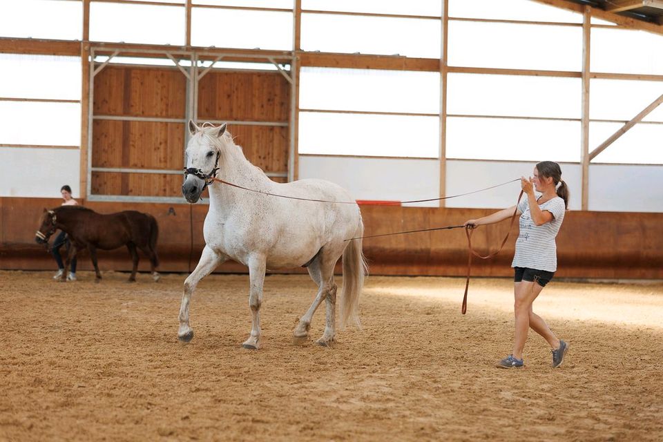 Handarbeit und Reitunterricht nach klassischen Grundsätzen in Weira