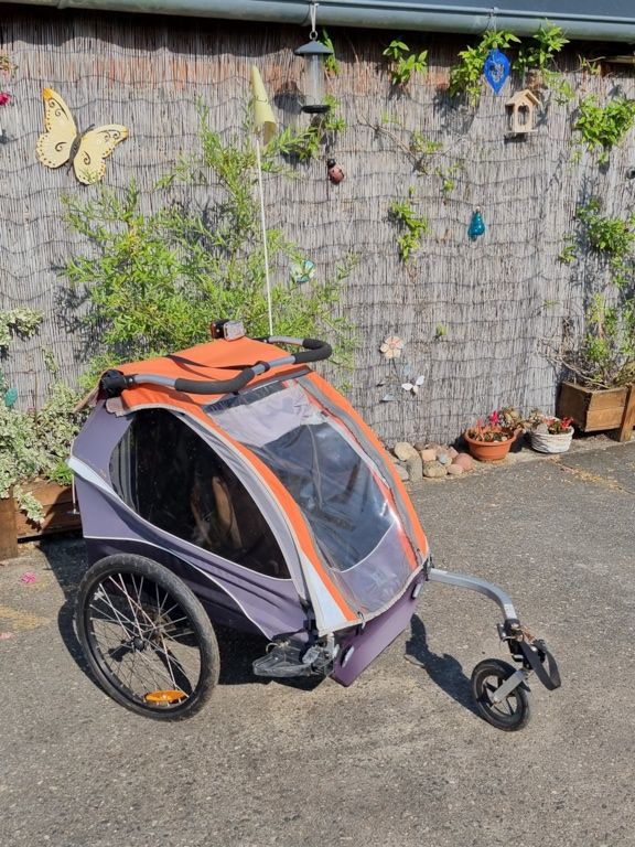 Burley D‘Lite Fahrradanhänger für 1 bis 2 Kinder in Leipzig